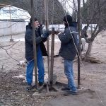 наращивание обсада