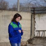 поиск воды на участке